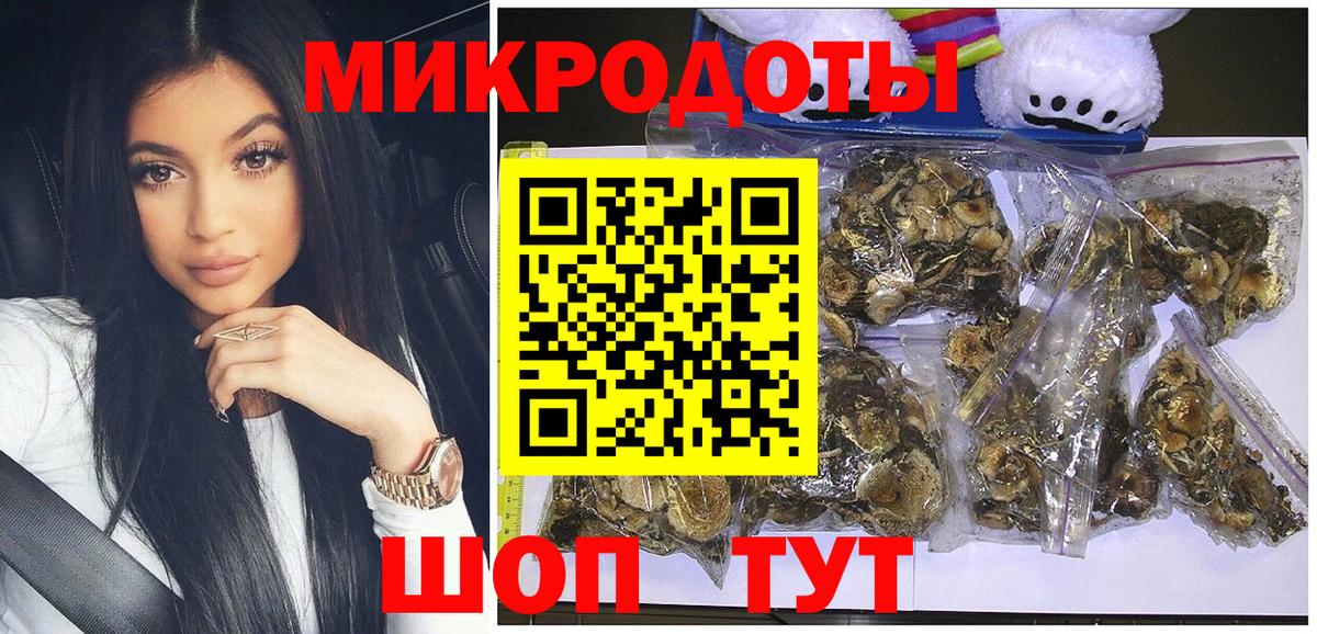 Галлюциногенные грибы MAGIC MUSHROOMS  Вход с VPN  Рузаевка 