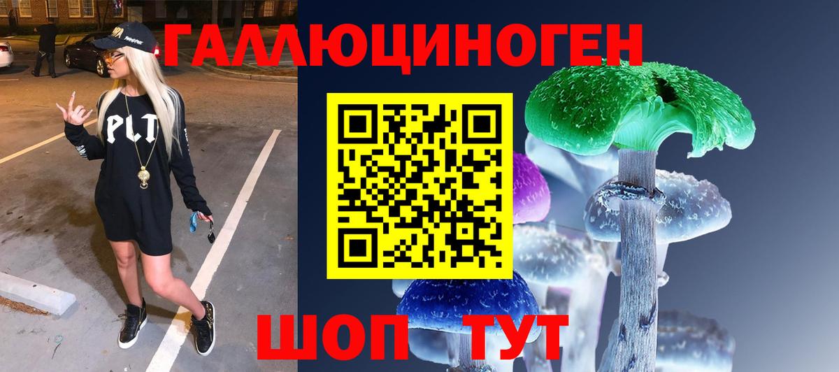 Псилоцибиновые грибы Cubensis Рузаевка